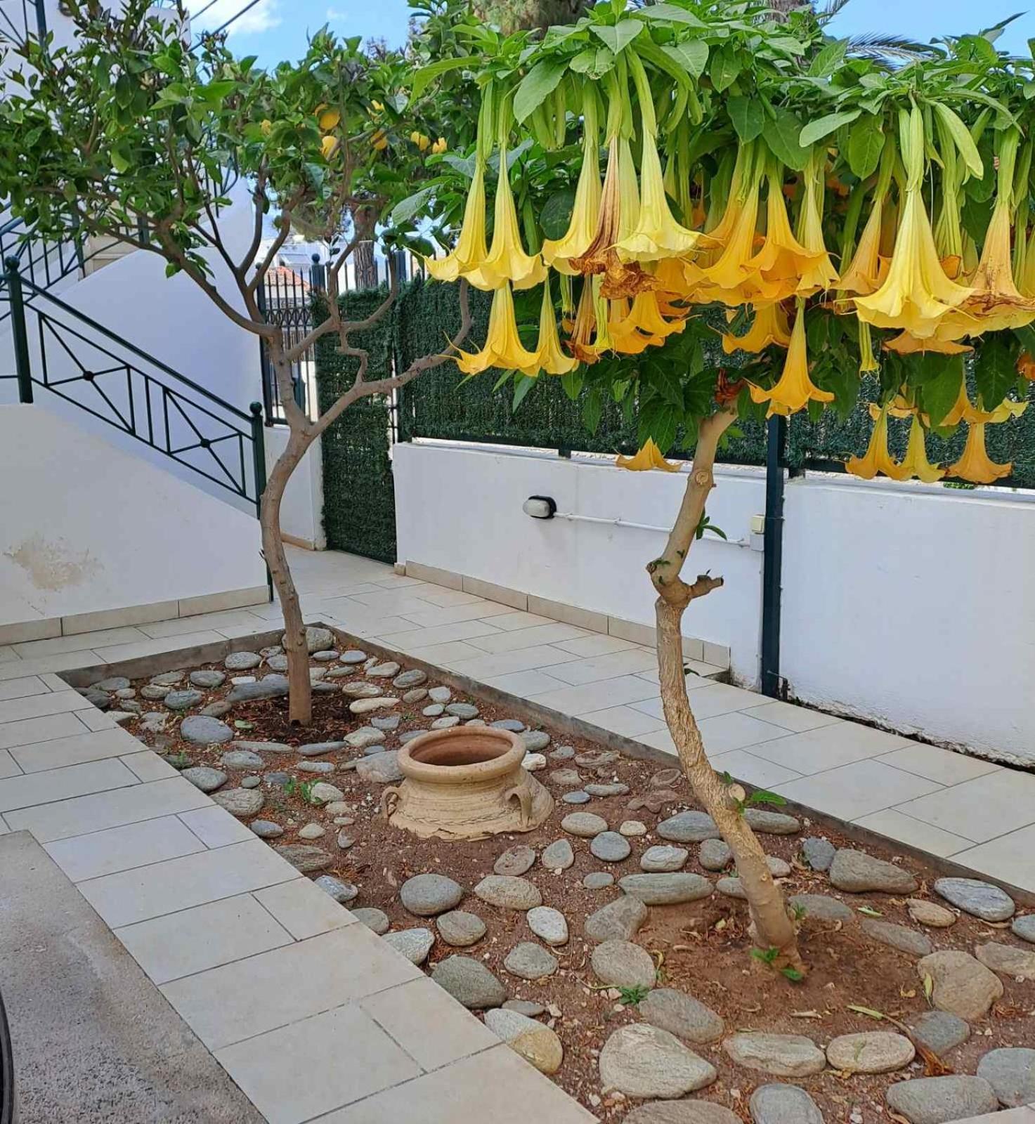 Vicky'S Place,Near Athens Airport โกโรปิออน ภายนอก รูปภาพ